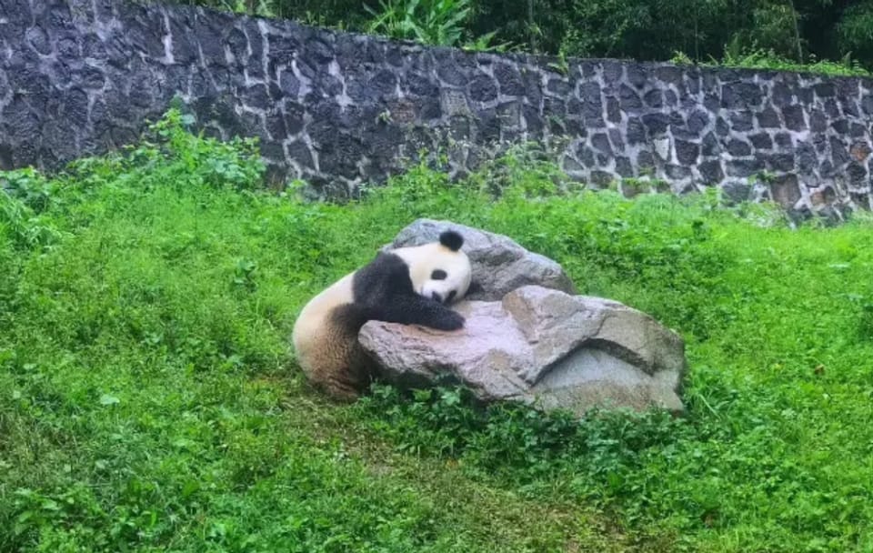 5-Day Chengdu and Mount Emei Cultural Tour