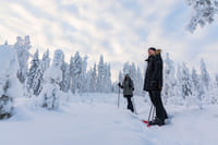 Snowshoe Experience in Lapland Forest - Rovaniemi 6