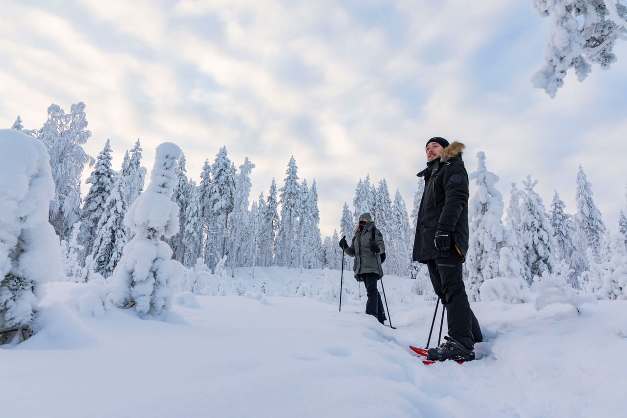 Snowshoe Experience in Lapland Forest - Rovaniemi 6