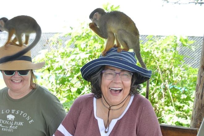 Puerto plata: Waterfalls Monkeys and beach tour Pick up included 2