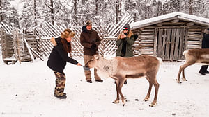 Reindeer Safari with Wilderness Lunch in Luosto