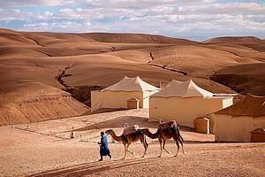 2Days/1Night: Agafay Desert, Atlas Mountains & Ourika valley