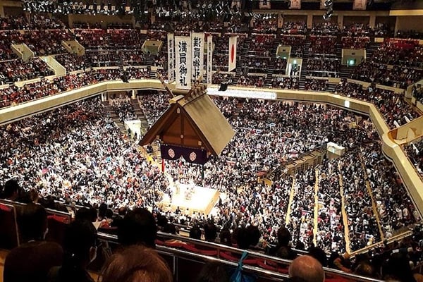 Sumo Tournament Experience in Tokyo