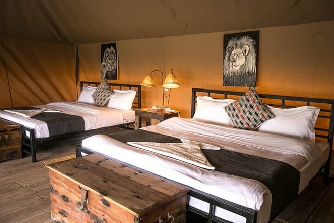 3-Day Tanzania Group Joining Safari 4