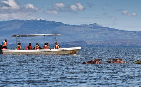 4-Day Safari Tour of Masai Mara, Lake Nakuru, and Hell's Gate