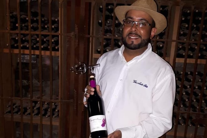 MTO Tour - Half-Day Small-Group Santa Rita Vineyard Tour
