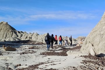 La Leona Petrified Forest Hiking Tour from El Calafate