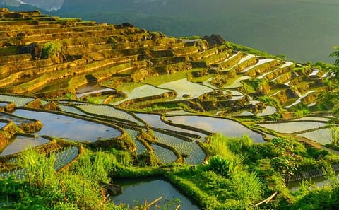 Offbeat Trekking Tour: Pu Luong Nature Reserve 2 days from Hanoi