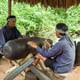 Cu Chi Tunnels Small Group Tour Morning or Afternoon