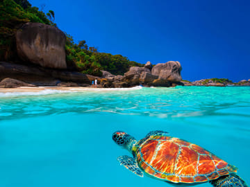 Surin Island Snorkeling by speedboat from Khao Lak