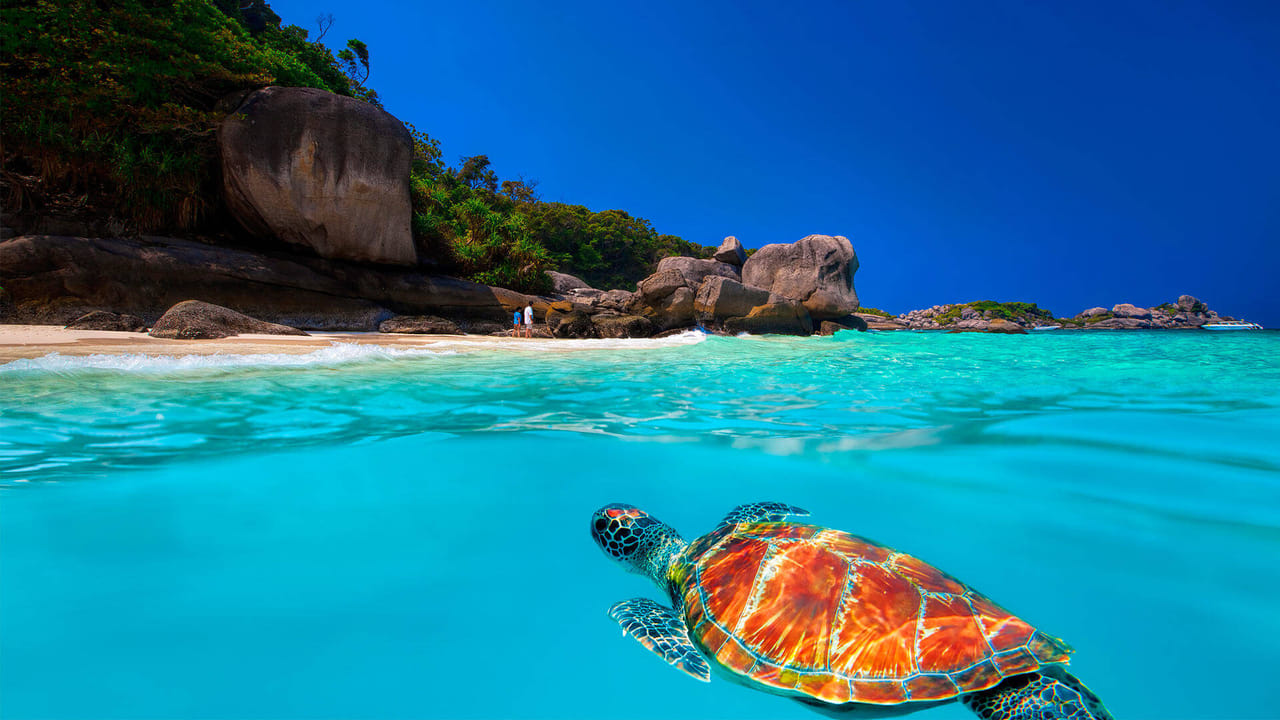 Surin Islands - The Snorkelling Experience from Phuket 2
