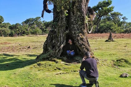Discovering Northwest Madiera Shore Excursion w/ Harbour pickup