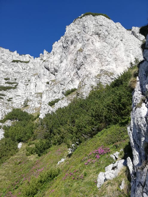 PRIVATE, MEDIUM Day Hike in Carpathian Mountains 8