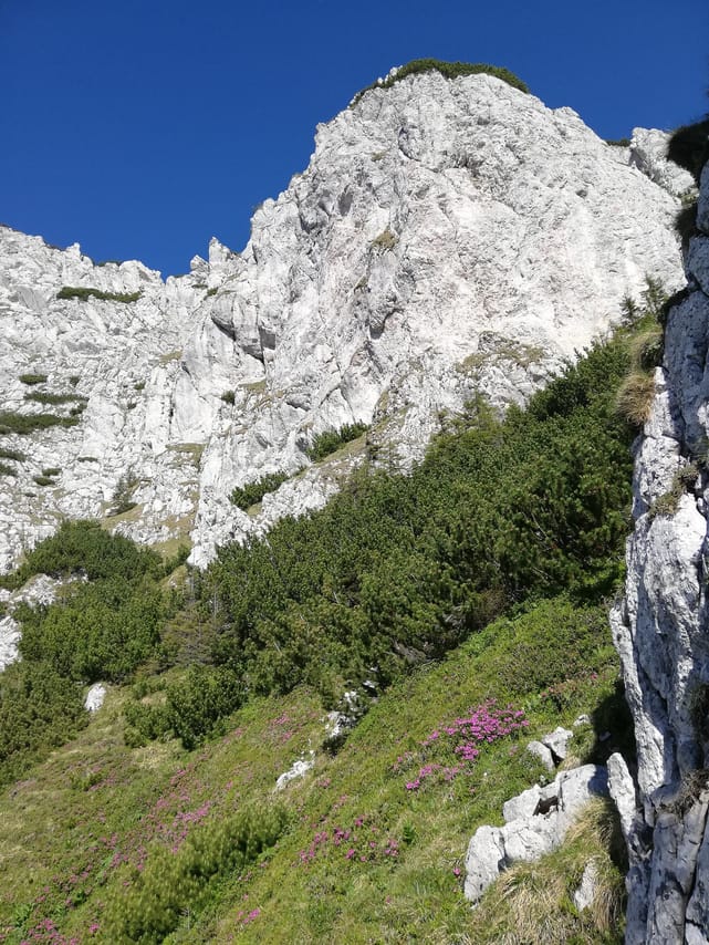 PRIVATE, MEDIUM Day Hike in Carpathian Mountains 8