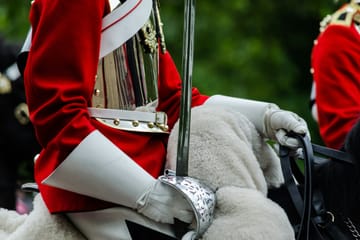 Royal Palaces Tour in London with Expert Guide