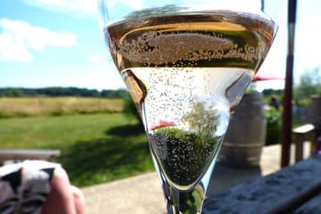 Full Day Wine Tour with Lunch at Sedlescombe Vineyard from London