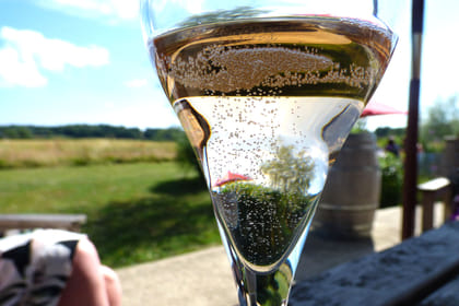 Full Day English Wine Tour with Lunch from London