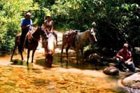 Horseback riding in the Atlantic forest BY PARATY TOURS 5