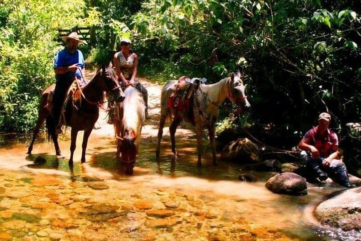 Horseback riding in the Atlantic forest BY PARATY TOURS 5