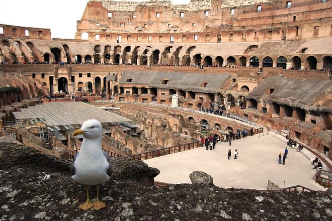 The Main symbol of Rome - Colosseum