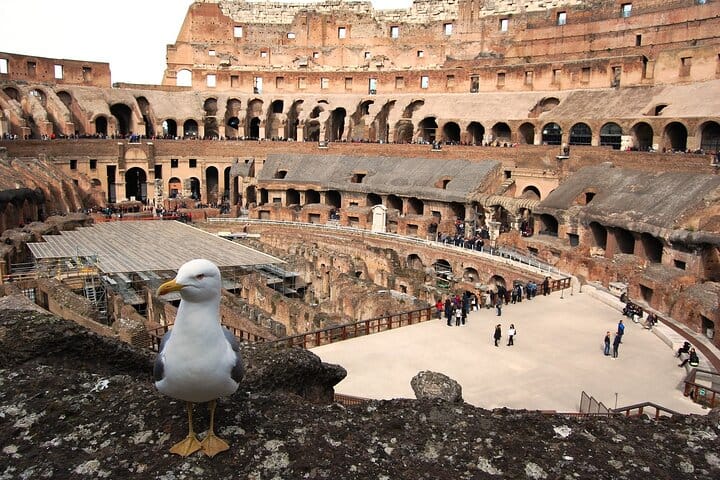 The Main symbol of Rome - Colosseum