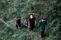 Mount Merapi: A Serene Soft Trek Through Botanic Villages Tour 3