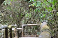 Doi Inthanon National Park Private Tour 4