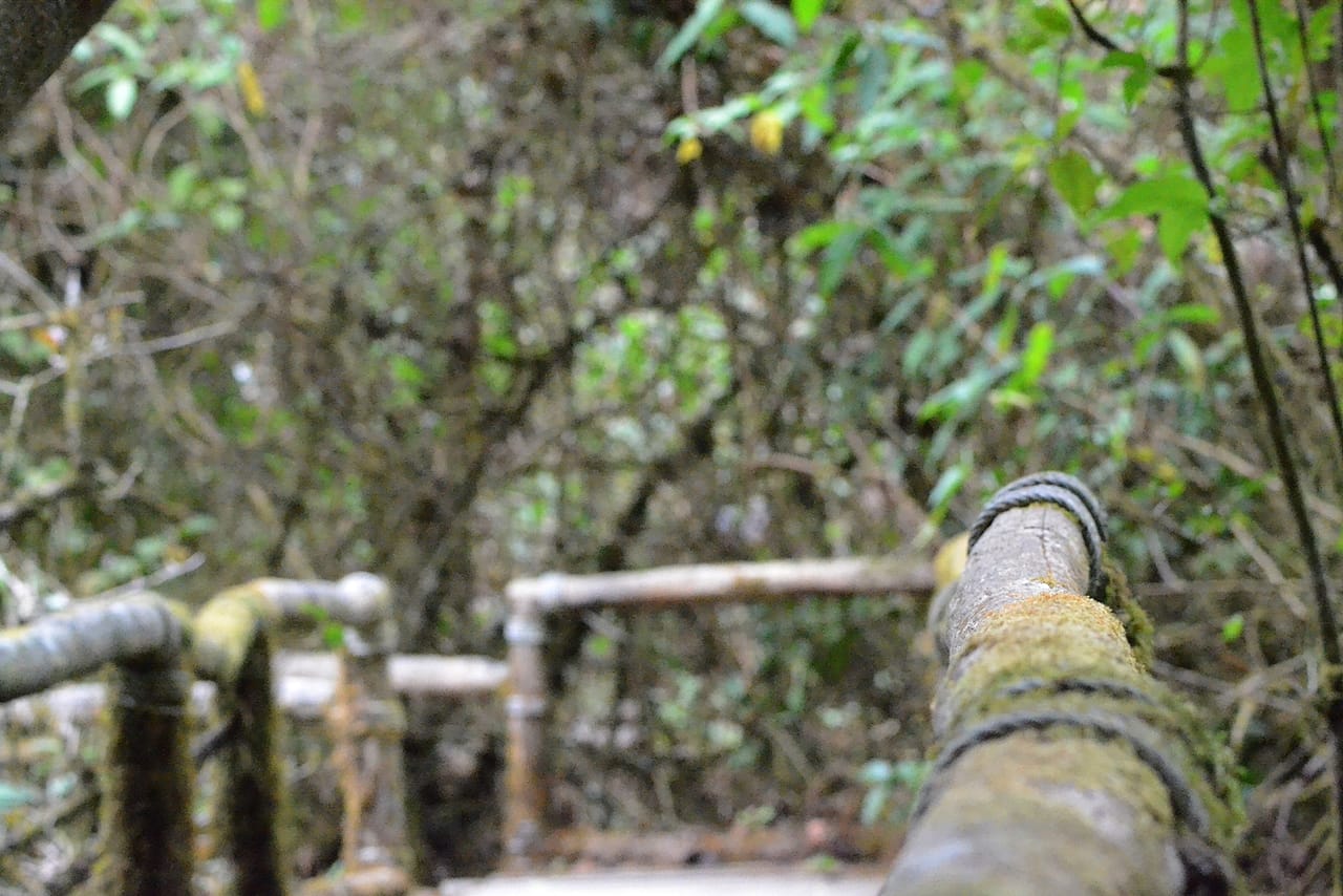 Doi Inthanon National Park Private Tour 4