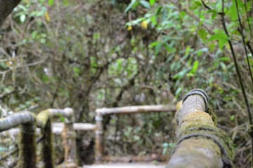 Private Day Trip to Doi Inthanon National Park from Ban Luang