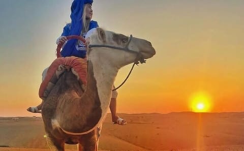 Camel Ride and Moroccan Breakfast in Agafay Desert, Marrakesh