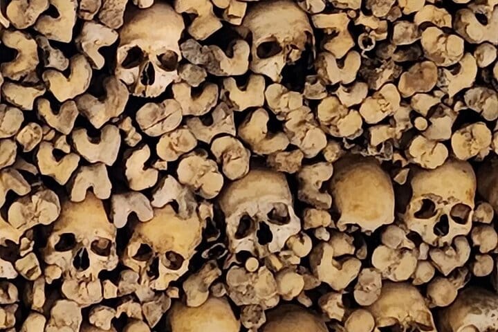 Évora and Alentejo Day Trip from Lisbon – History, Wine & Culture