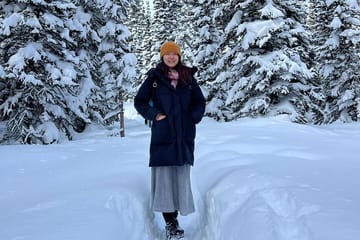 Banff Region Highlights Tour Lake Louise and More