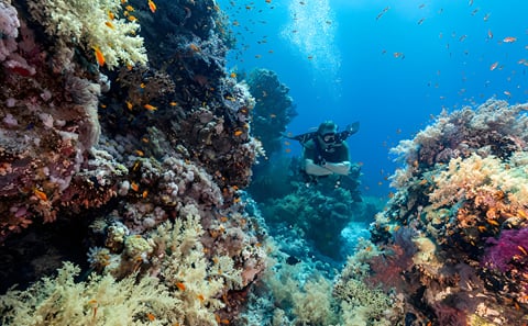 Marsa Alam 8-Day Tour with Snorkeling and Relaxation