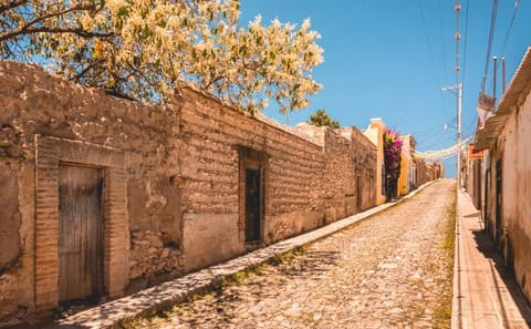 Adventure Tour of Ghost Towns and Rock Art in Guanajuato