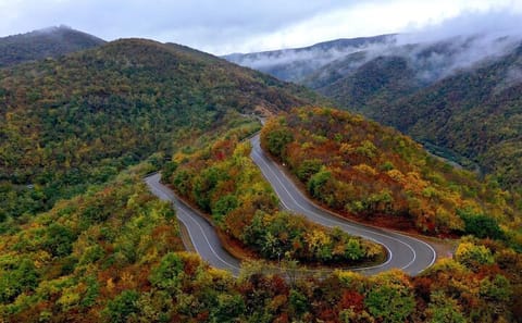 Private Full-Day Cultural Tour of Georgia from Tbilisi