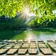 Explorer Pu Luong to Ninh Binh 3 Days Small Group Tour from Hanoi
