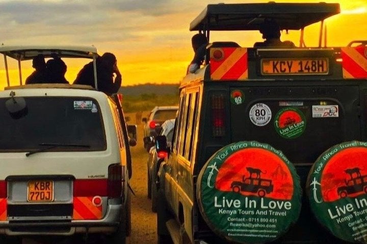 3-Day Ol Pejeta Conservancy & Rhino Expedition