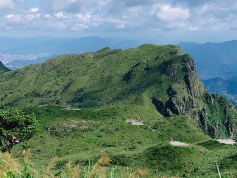 Fujian Hakka Tulou & Huanglianyu Peak 3-Day Private Trek (Zhangzhou–Longyan)