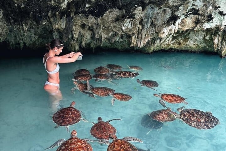 Zanzibar Jozani Forest, Kuza Cave and Blue Lagoon with Starfishes