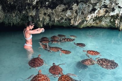 Zanzibar Jozani Forest, Salaam Cave and The Rock Restaurant