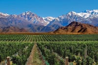4-Days Trip to Mendoza and The Andes 1