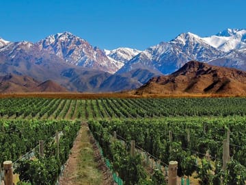 4-Day Adventure Tour of Mendoza and the Andes Mountains