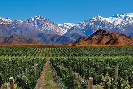 Mendoza and The Andes: Scenic Tours, Wine Experiences, and Aconcagua Peak