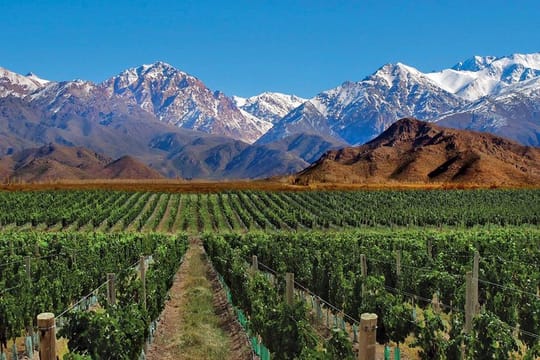 4-Days Trip to Mendoza and The Andes