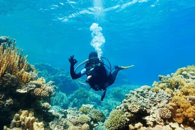 Bodrum Scuba Diving Experince with Lunch and Roundtrip Transfer 7