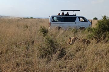 Memorable Group-Joining Nairobi Park Safari