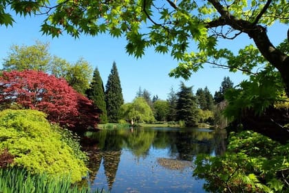 Vancouver Day Tour | Visit The Most Unique Places! Private