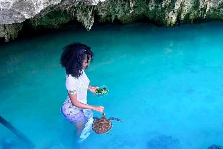 Zanzibar Swim, Snorkel & Feed Turtles at Baraka Aquarium