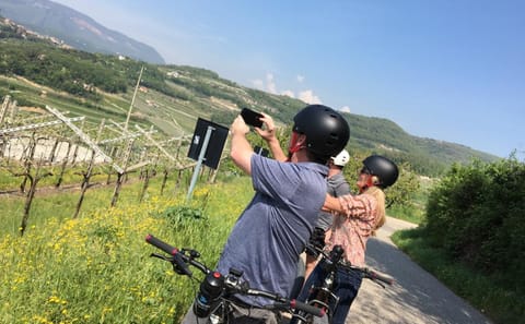 E-bike Tour and Amarone Wine Tasting in Marano di Valpolicella