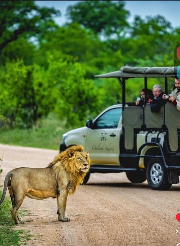 6 Days Southern Tanzania Safari 7